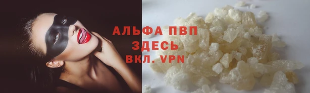 молекула духа Абинск
