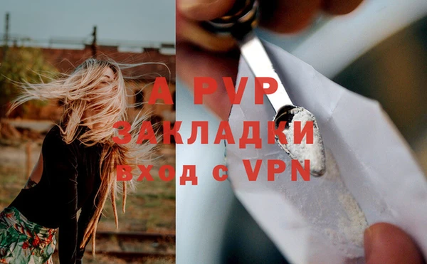 молекула духа Абинск