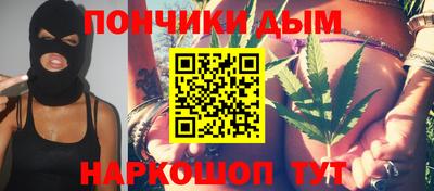 шишки Кимры
