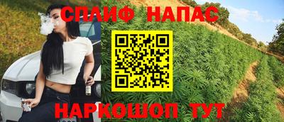 синтетический гашиш Кингисепп