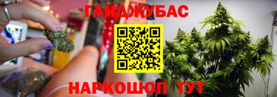 трава Камышлов