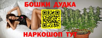 шишки Кимры