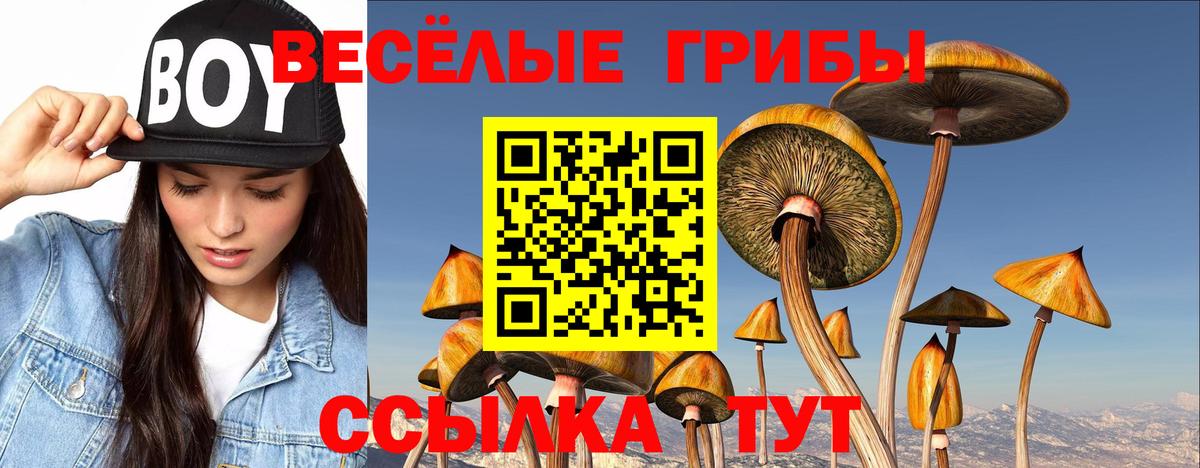 Галлюциногенные грибы MAGIC MUSHROOMS Кызыл